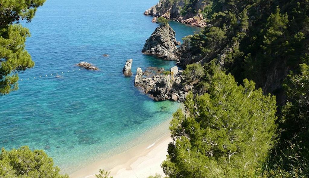 Apartament Antic Plankton - Calella Palafrugell - Free Parking, Beach, Wifi, Perfect Holidays Calella De Palafrugell Buitenkant foto