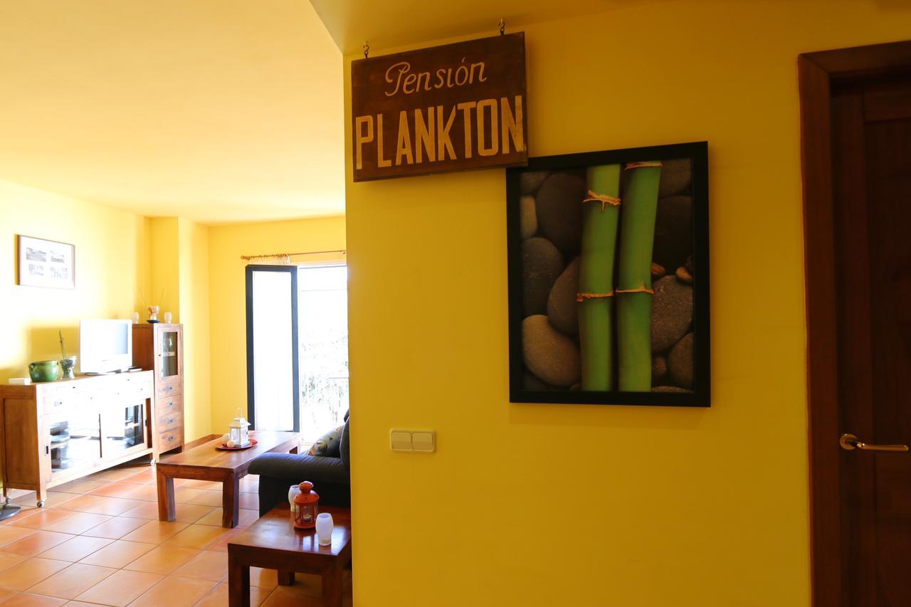 Apartament Antic Plankton - Calella Palafrugell - Free Parking, Beach, Wifi, Perfect Holidays Calella De Palafrugell Buitenkant foto